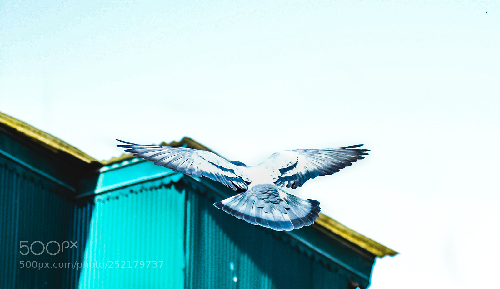 Nikon D5300 sample photo. Untitled photography