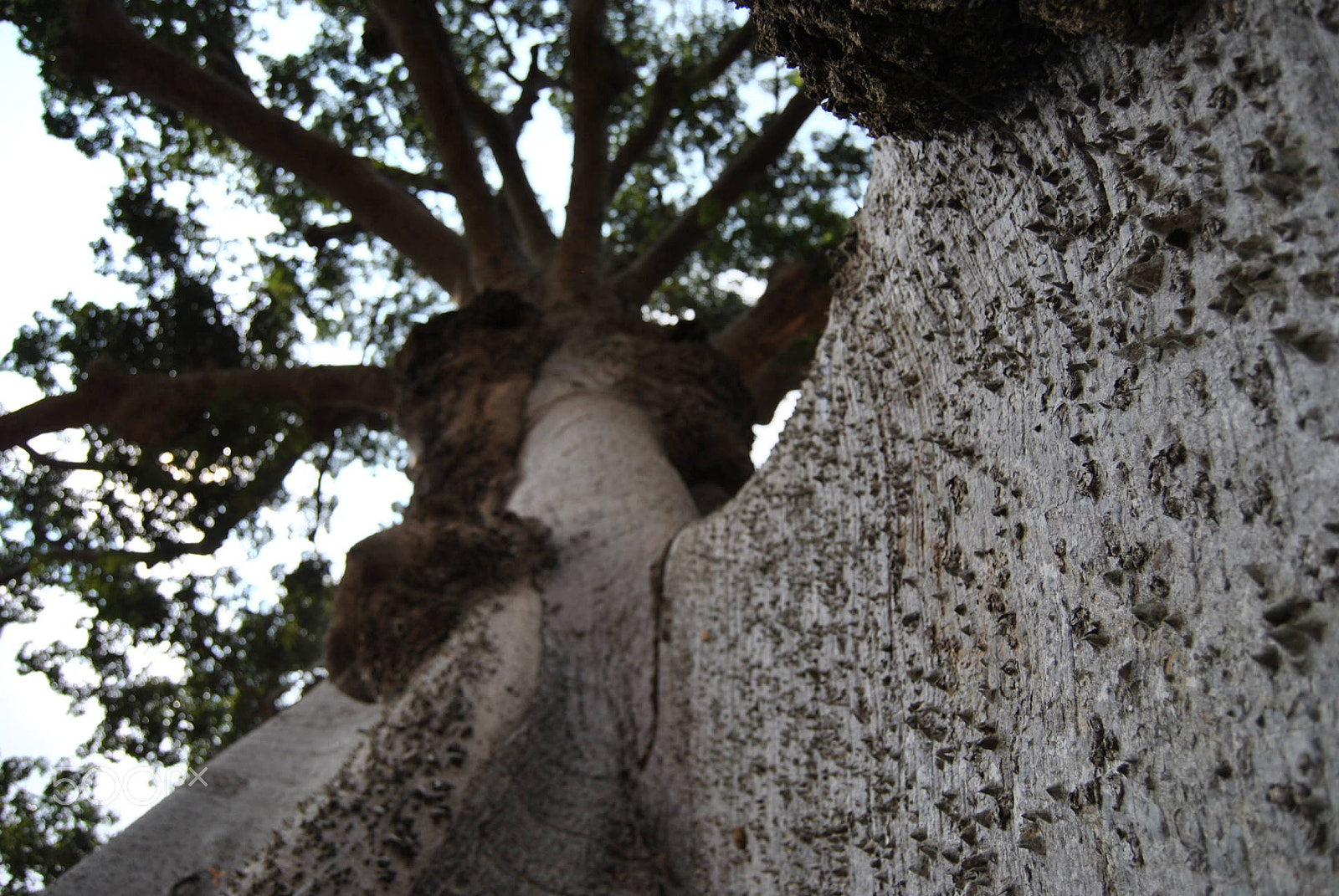 Nikon D3000 sample photo. 74.jpg photography
