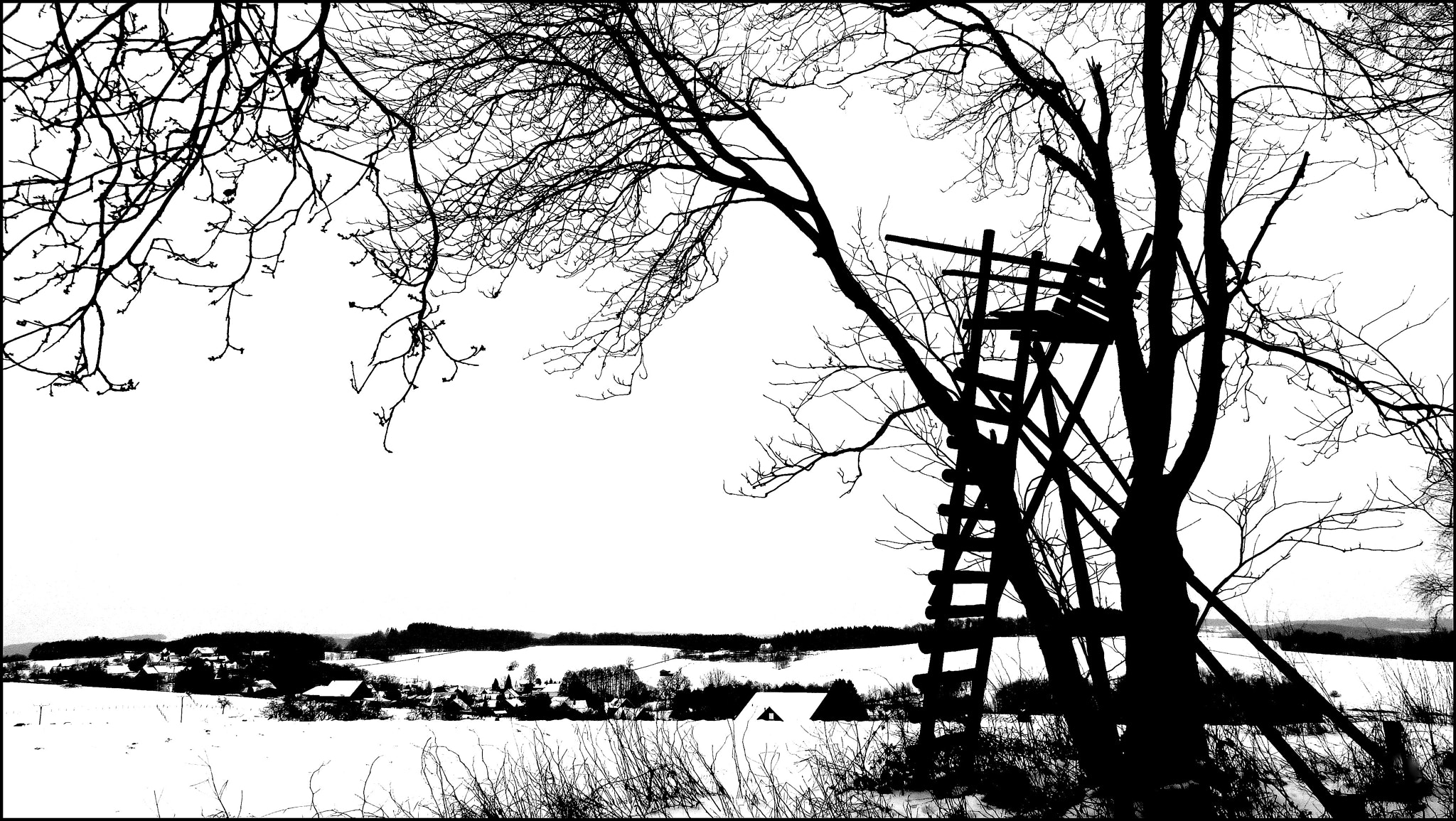 Canon PowerShot SX220 HS sample photo. Someone to watch over me.. photography