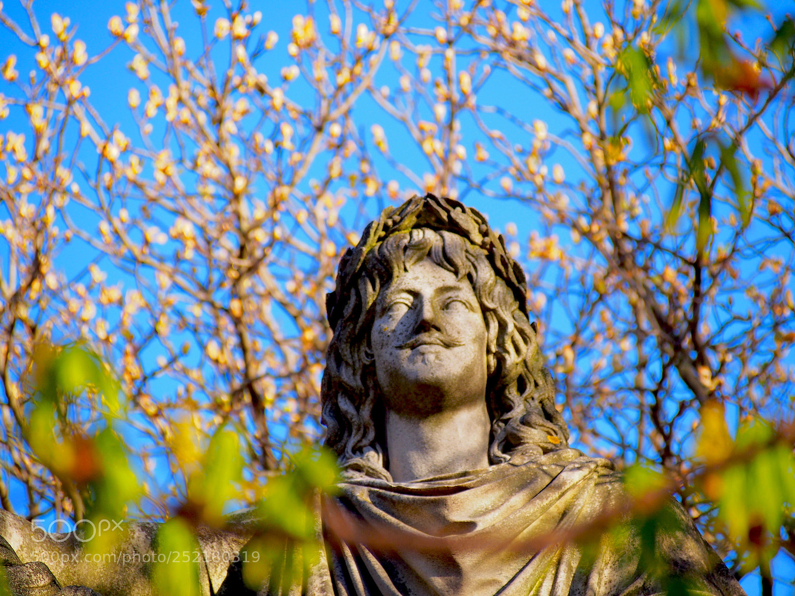 Olympus PEN E-PL6 sample photo. King spring photography