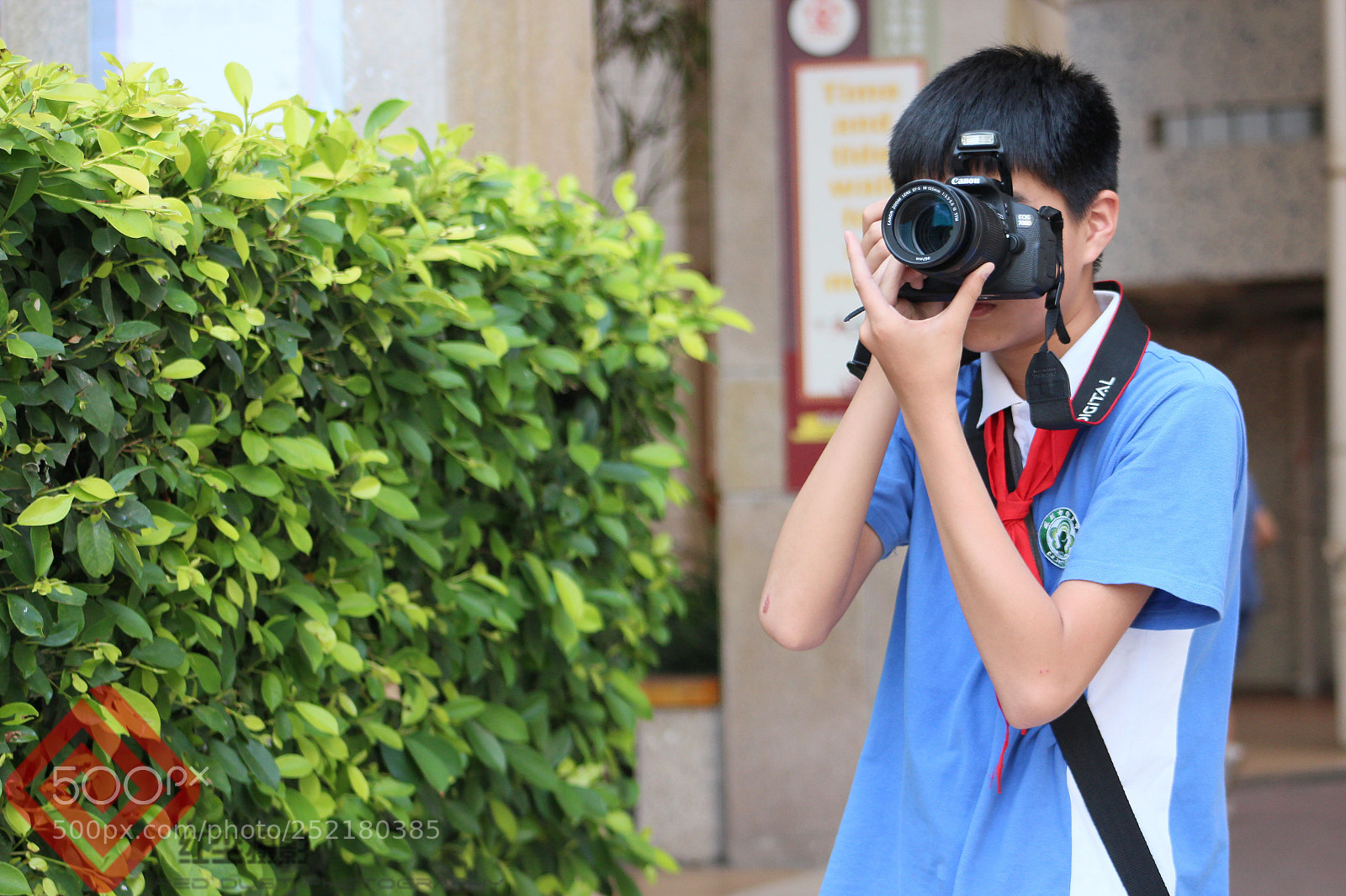 Canon EOS 600D (Rebel EOS T3i / EOS Kiss X5) sample photo. Photography student photography