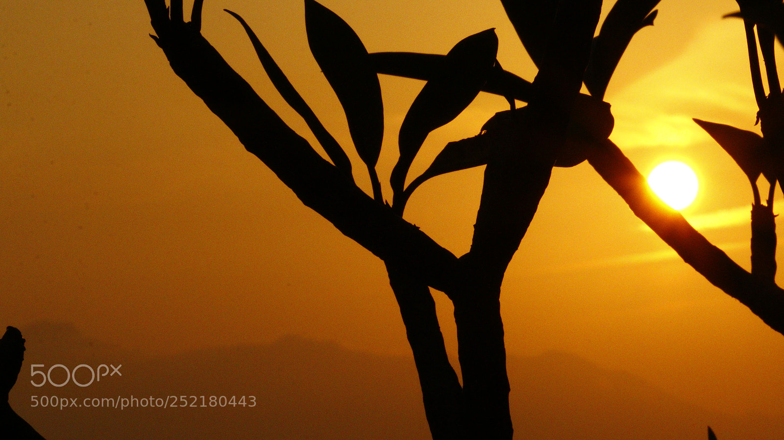Canon EOS 70D sample photo. Sunset photography