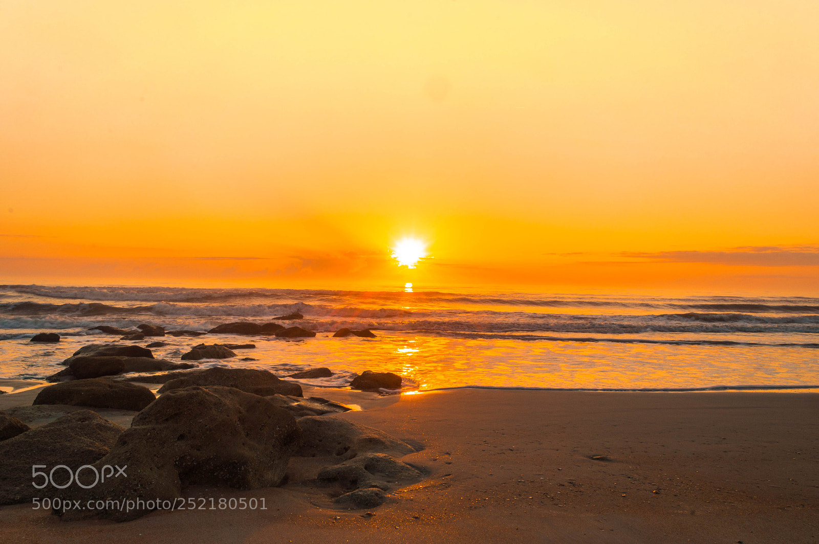 Nikon D3200 sample photo. Marineland, fl  sunrise photography