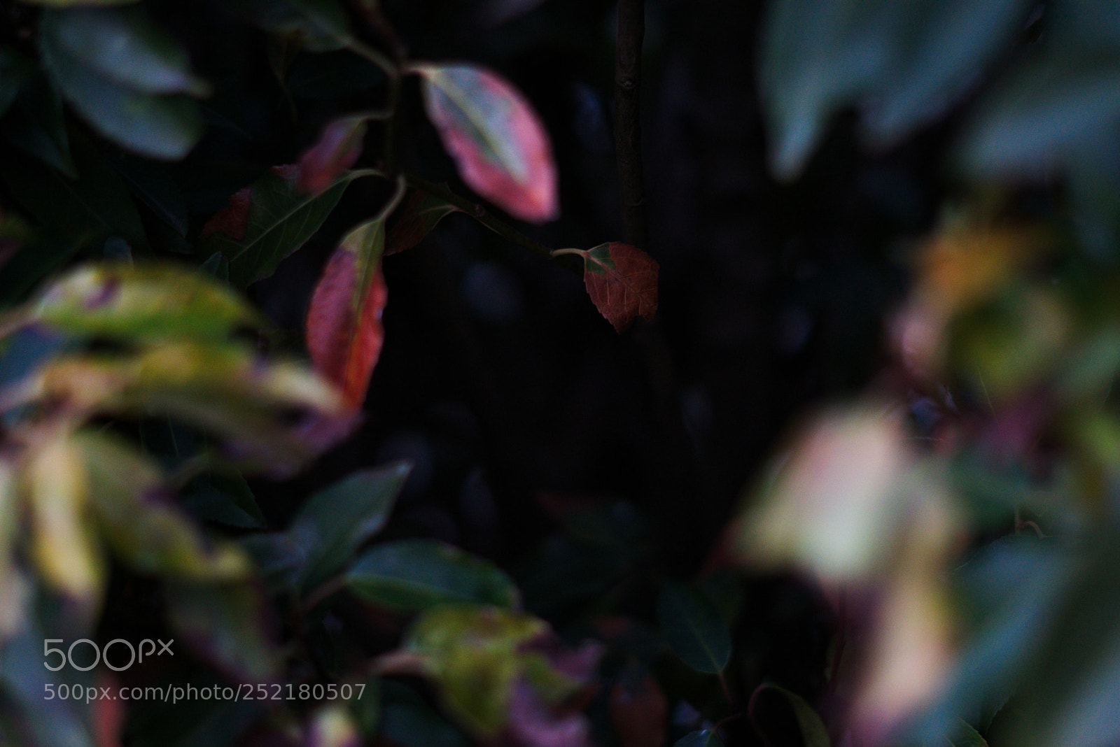 Sony a6000 sample photo. 006 photography