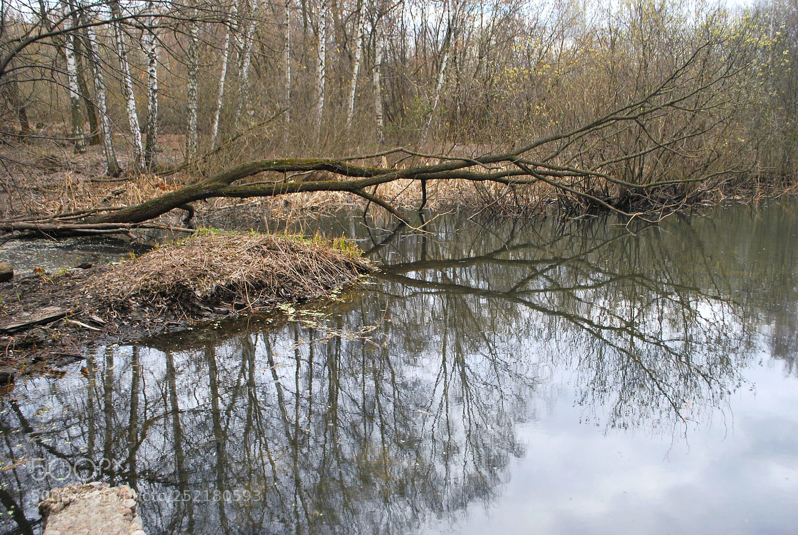 Nikon D60 sample photo. Acbeb orig photography
