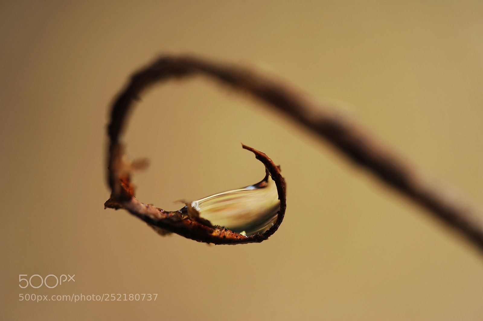 Nikon D700 sample photo. Spiral photography