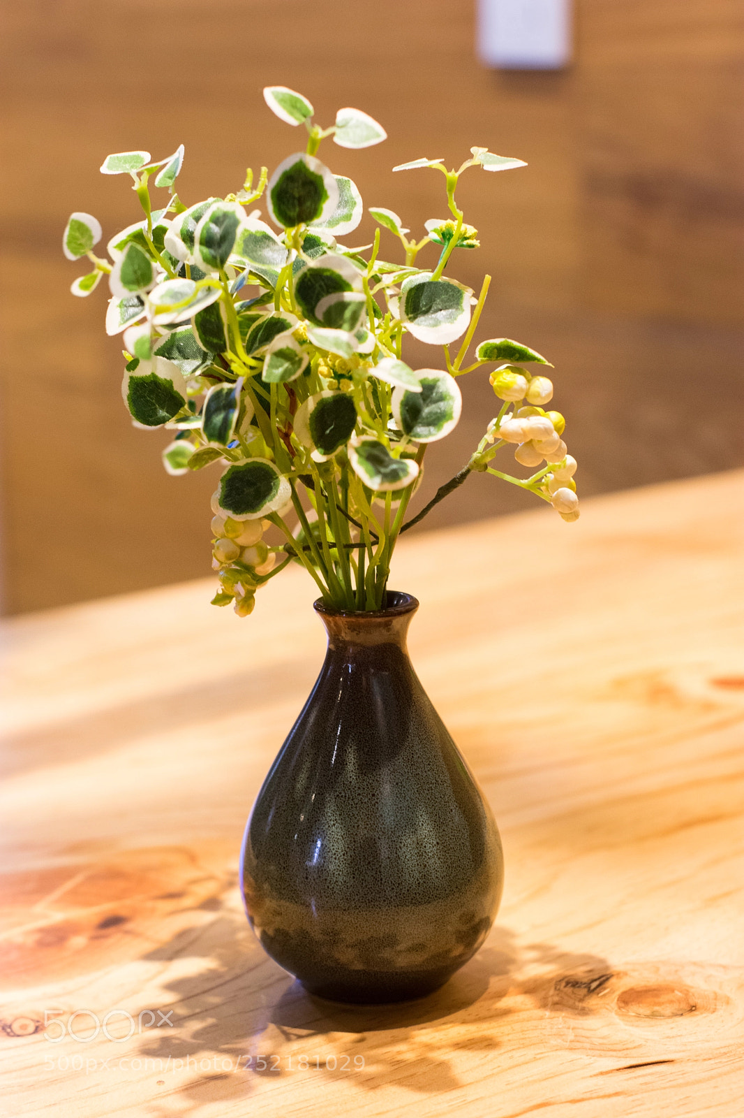 Nikon D3400 sample photo. _dsc0908-2.jpg photography