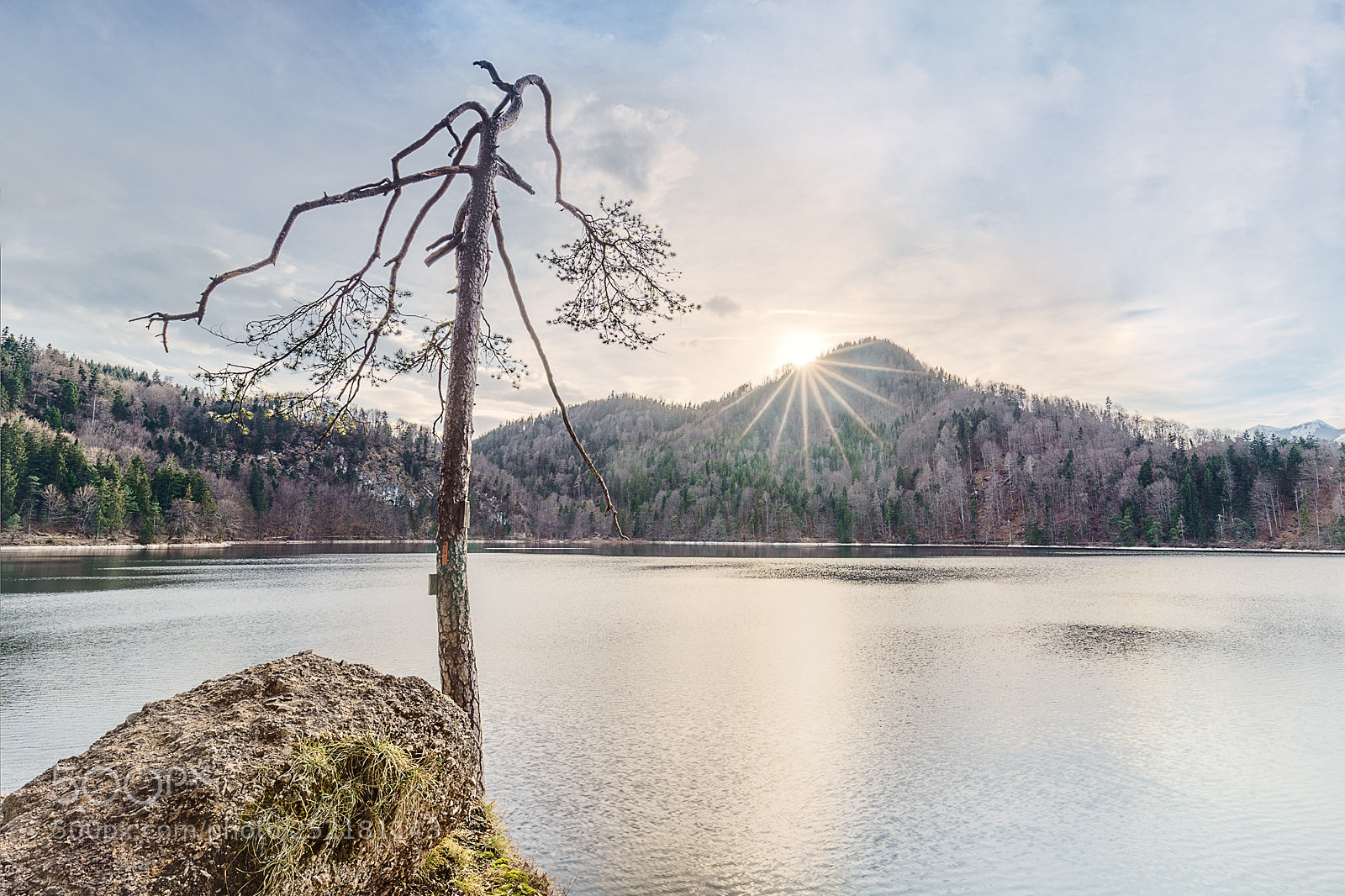Sony a7 III sample photo. Spring photography