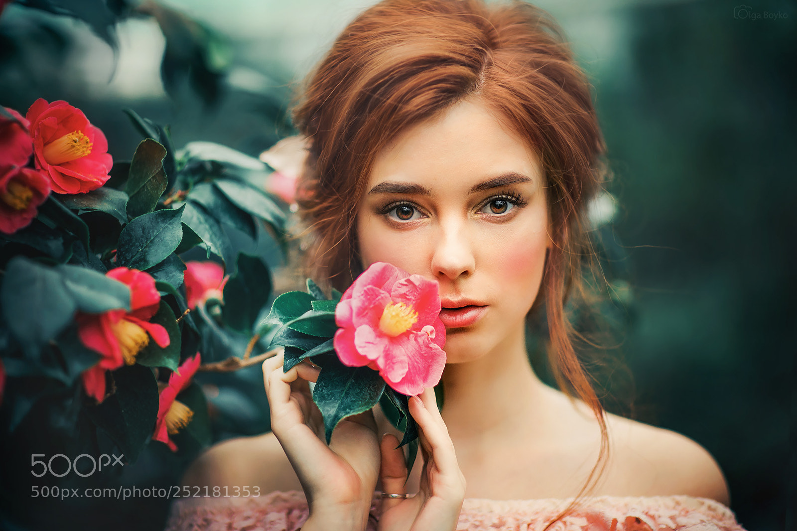 Canon EOS 5D Mark IV sample photo. A flower photography