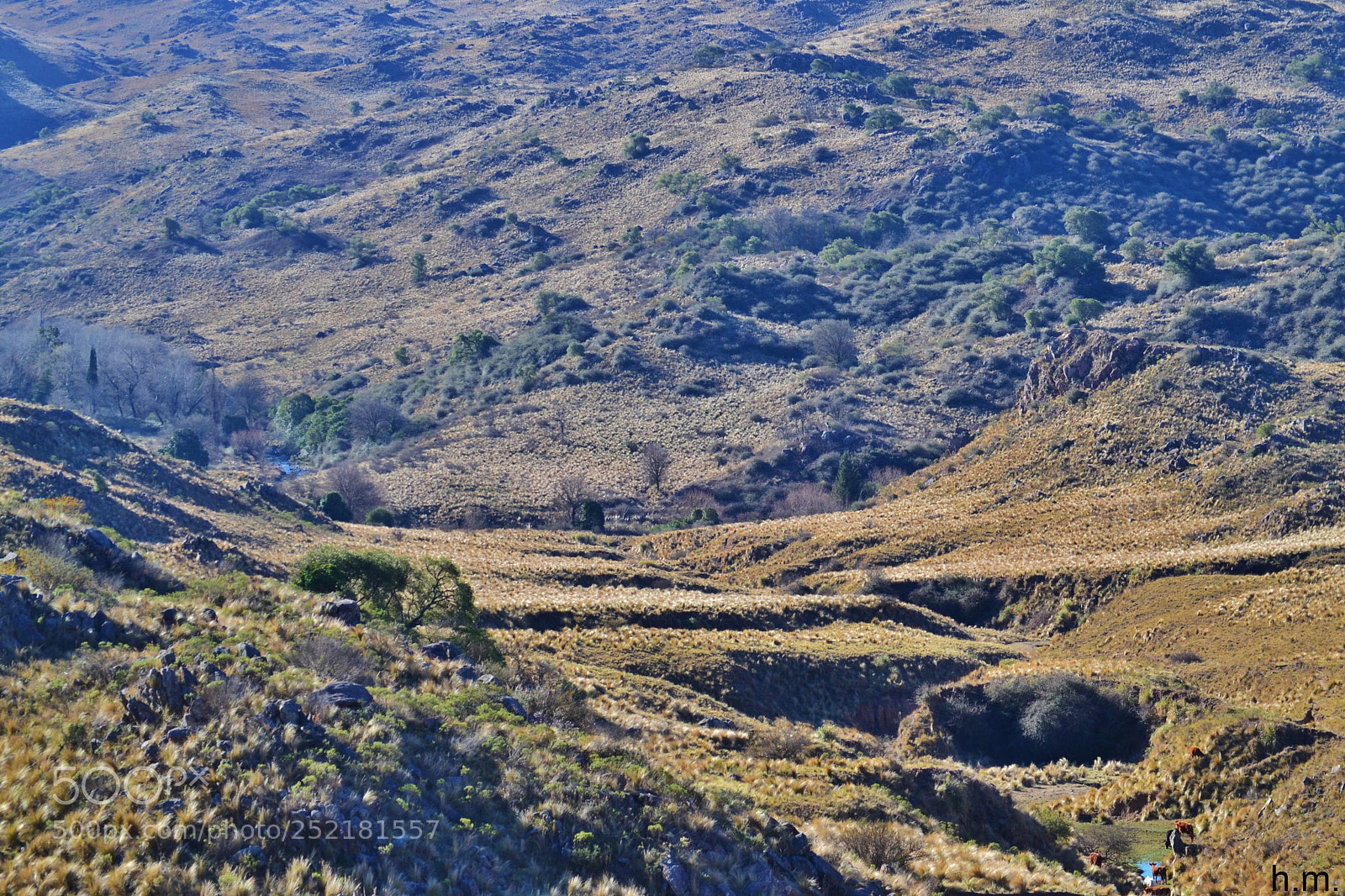 Nikon D3100 sample photo. Deeo photography