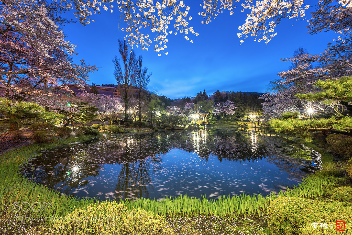 Nikon D810 sample photo. . photography