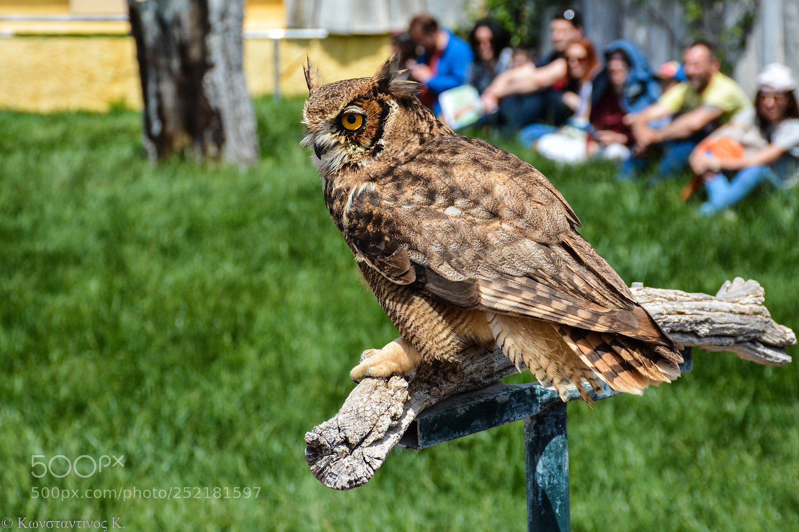 Nikon D7100 sample photo. Zoo photography