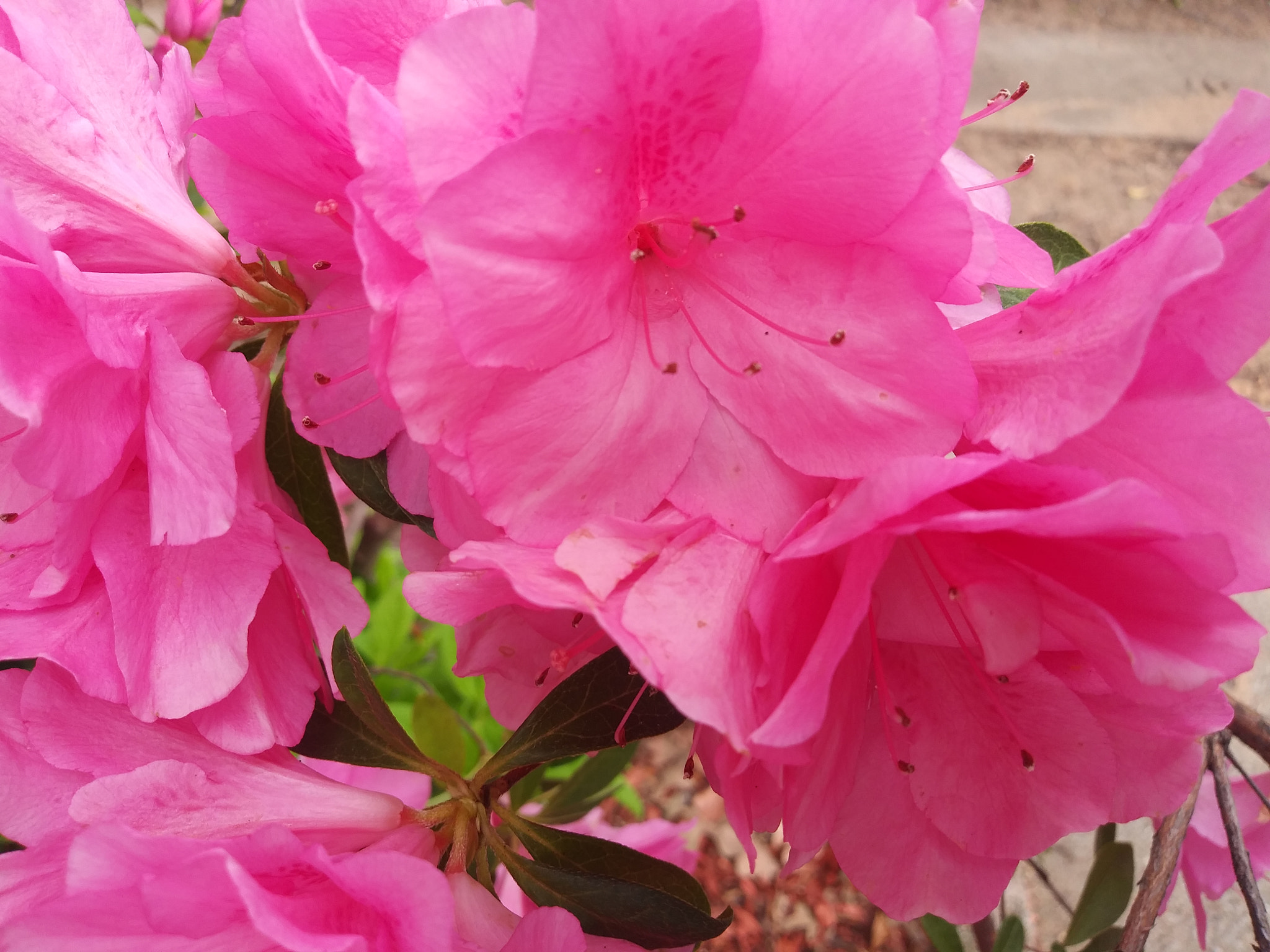 LG K8(2018) sample photo
