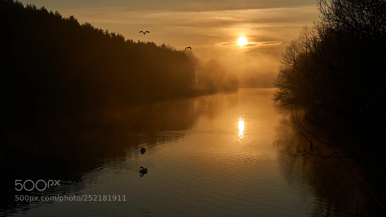 Sony a6000 sample photo. Sunrise in fog photography