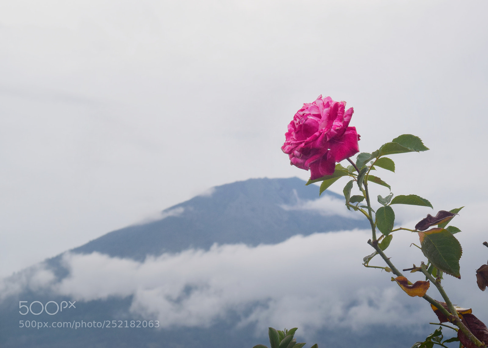 Nikon D3300 sample photo. Beauty mountain photography