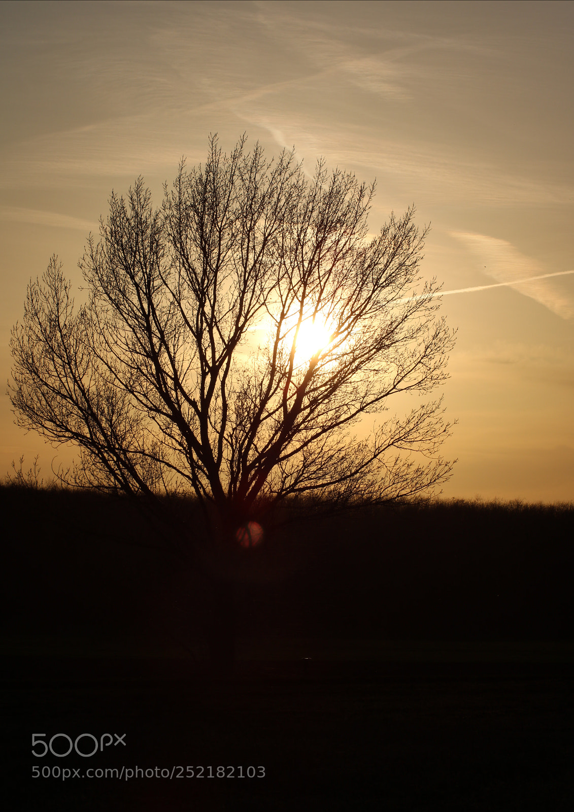 Canon EOS 760D (EOS Rebel T6s / EOS 8000D) sample photo. Golden sky photography