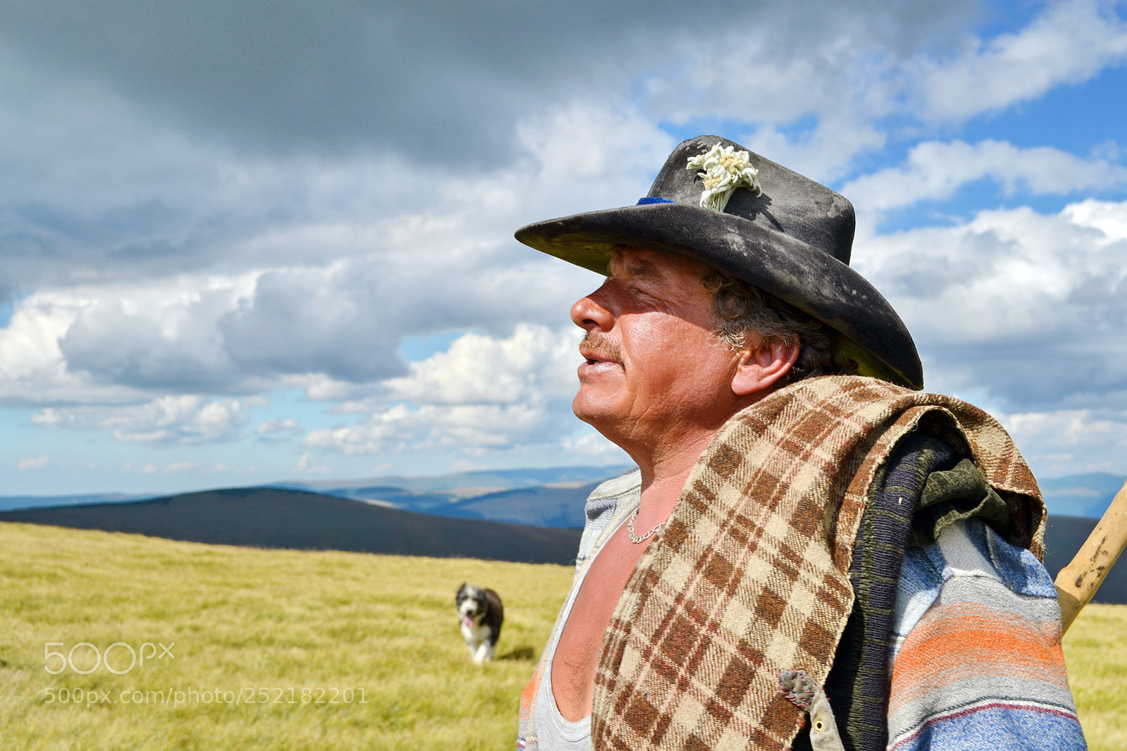Nikon D3100 sample photo. The sheperd from transalpina photography