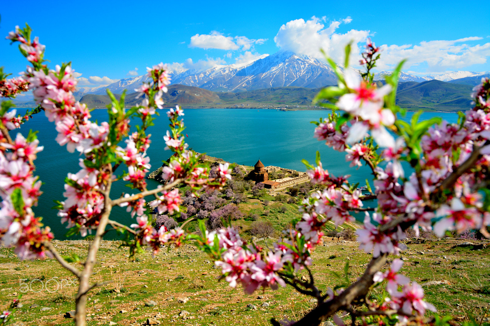 Nikon D7100 + Sigma 17-70mm F2.8-4 DC Macro OS HSM | C sample photo. Spring came photography