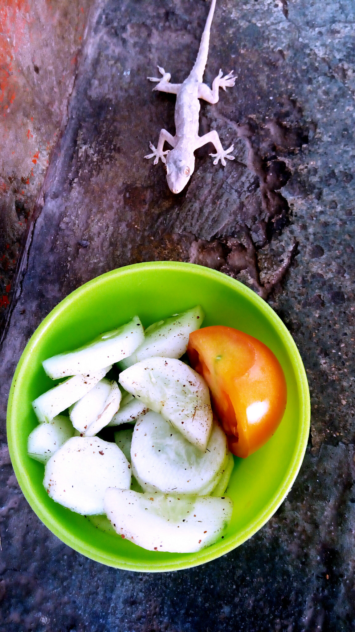 Lenovo VIBE X3 LITE sample photo. Poisonous food photography