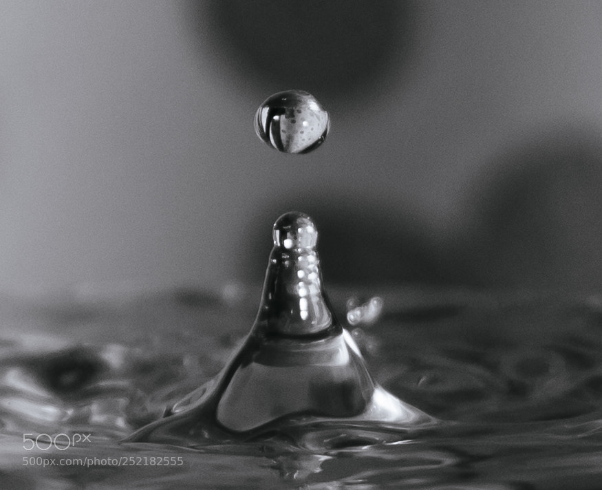 Nikon D3200 sample photo. Druppel photography