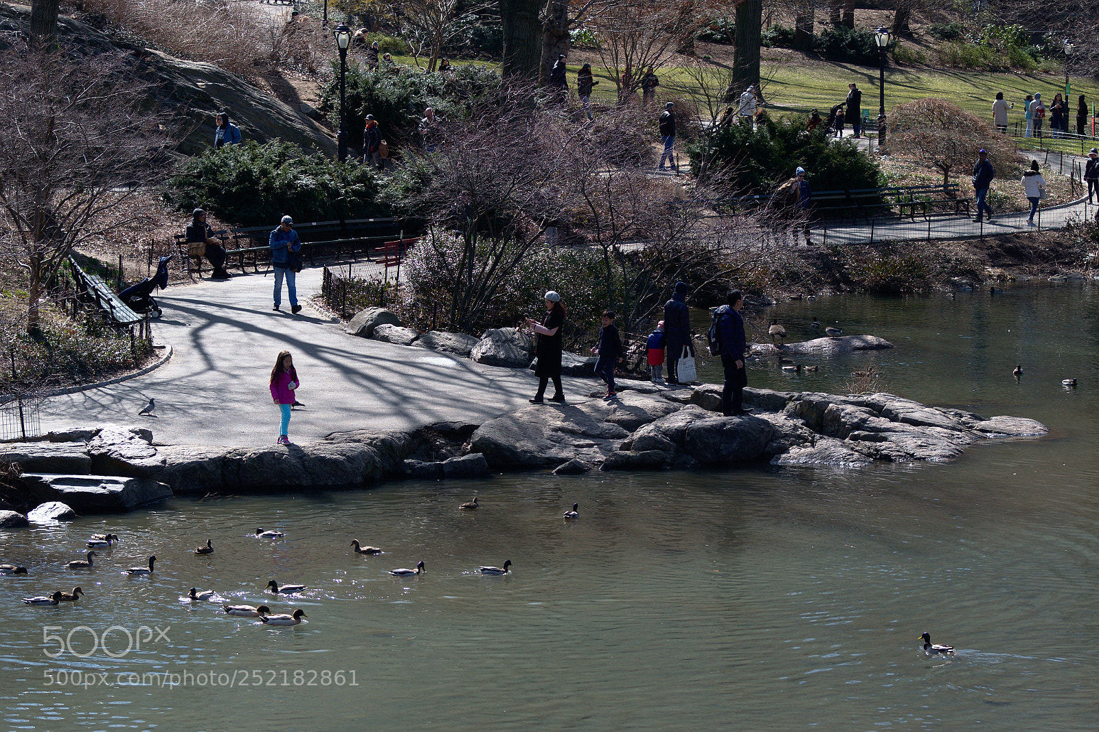 Nikon D3300 sample photo. Spring in the park photography