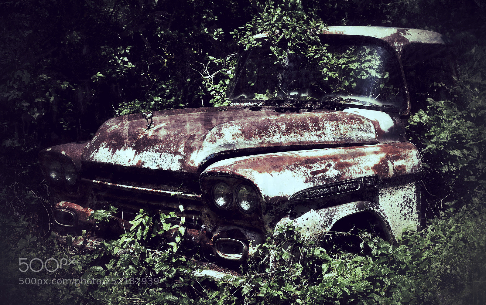 Nikon D3300 sample photo. The old truck photography