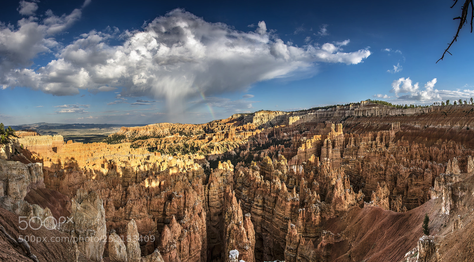Nikon D7100 sample photo. Bryce panorama photography
