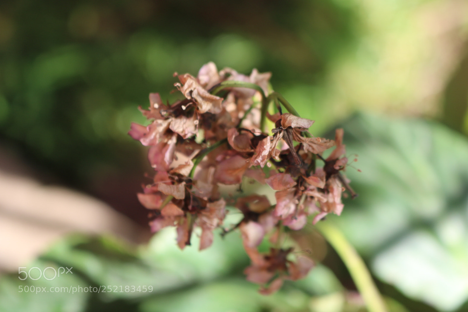 Canon EOS 750D (EOS Rebel T6i / EOS Kiss X8i) sample photo. Untitled photography