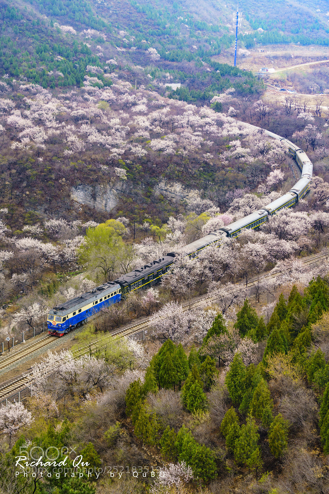 Sony a7R III sample photo. Train to spring photography