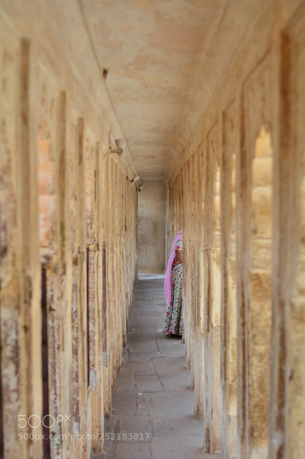 Nikon D5200 sample photo. Looking photography