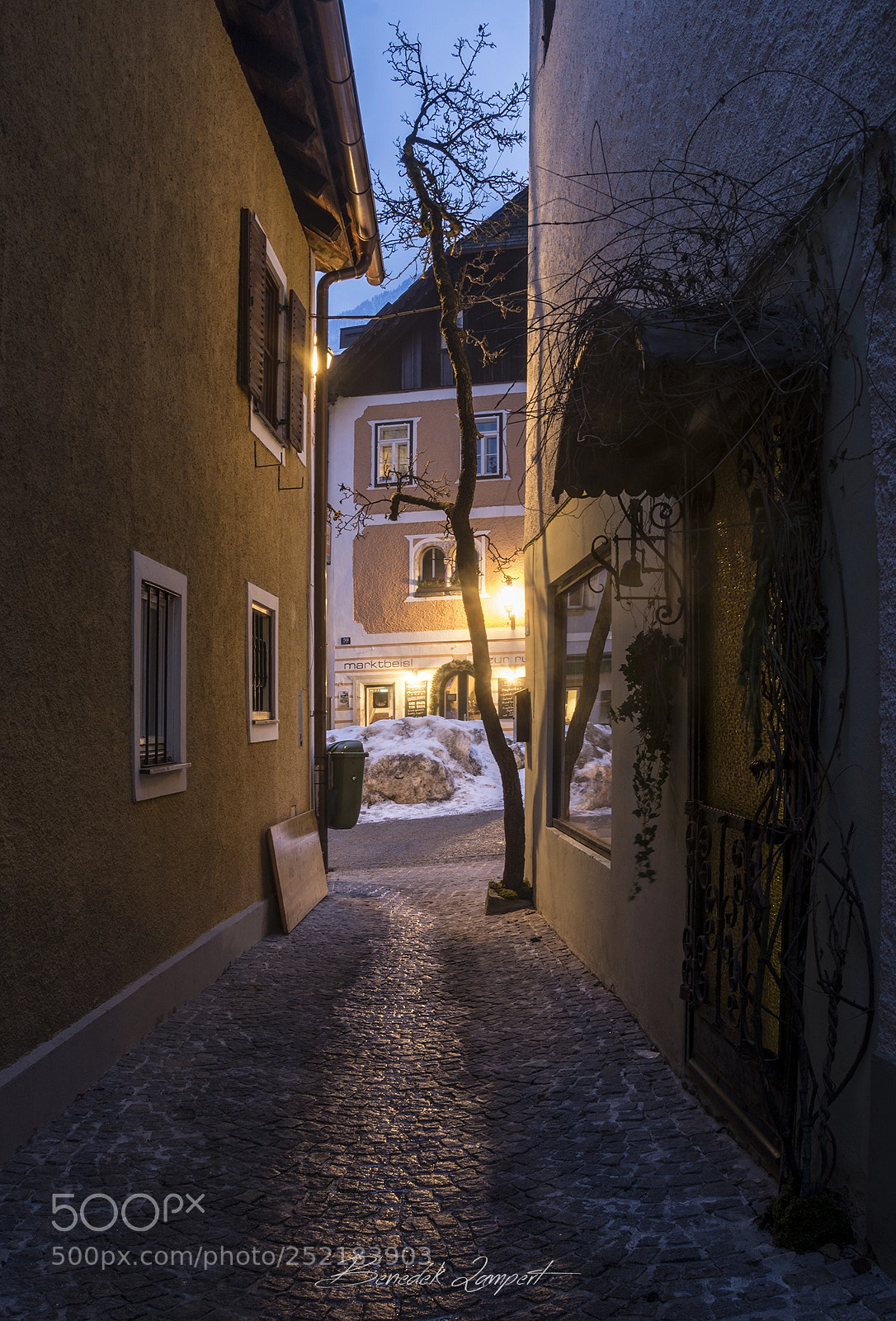 Nikon D7100 sample photo. Hallstatt between the houses photography