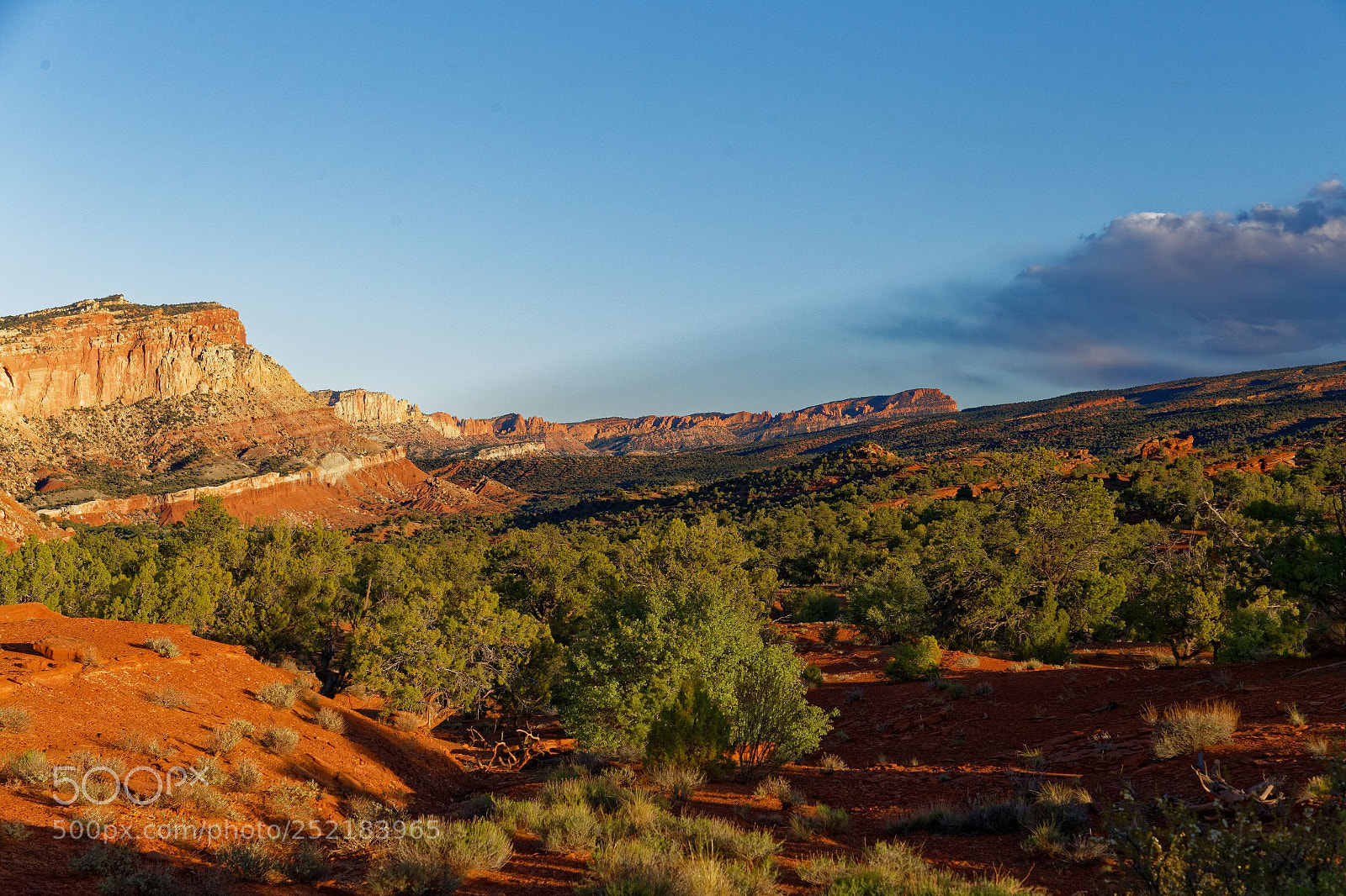 Canon EOS 6D + Canon EF 24-105mm F4L IS USM sample photo. Waterpocket fold photography