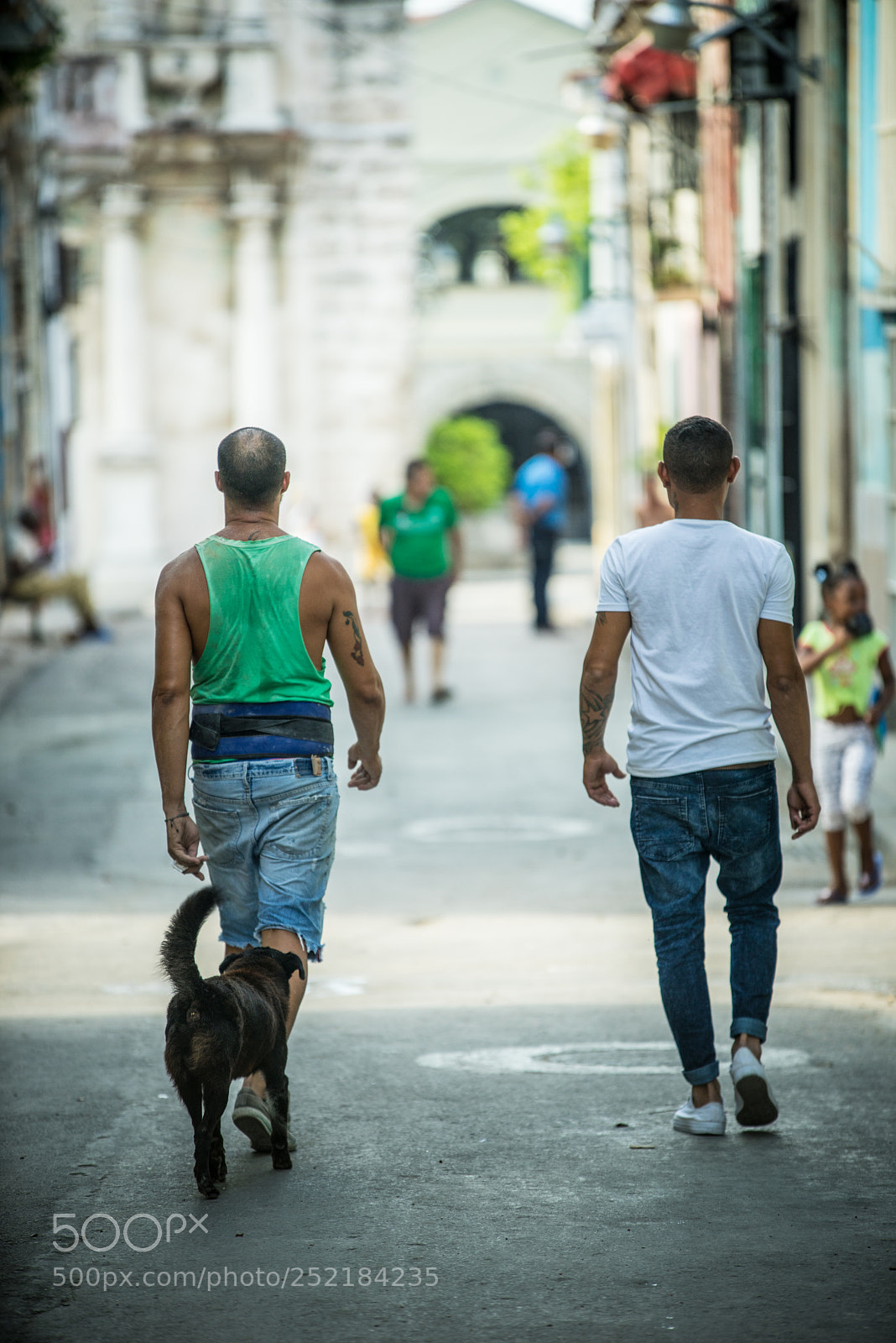 Sony a7R sample photo. With dog photography