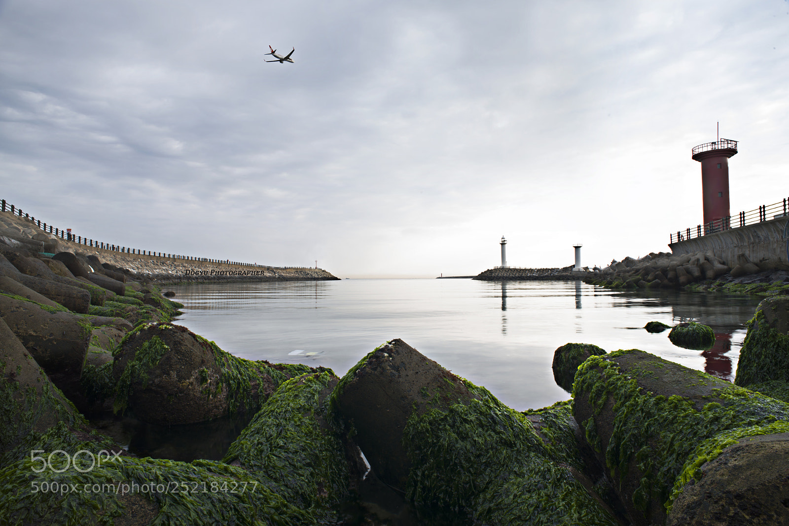 Nikon D800E sample photo. Toward photography