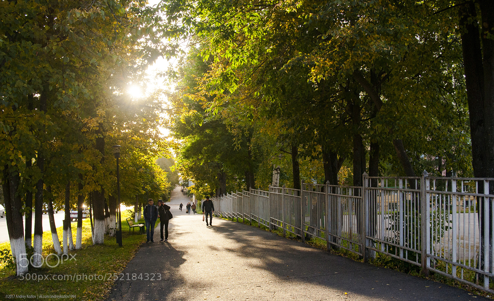 Canon EOS 5D sample photo. Img photography