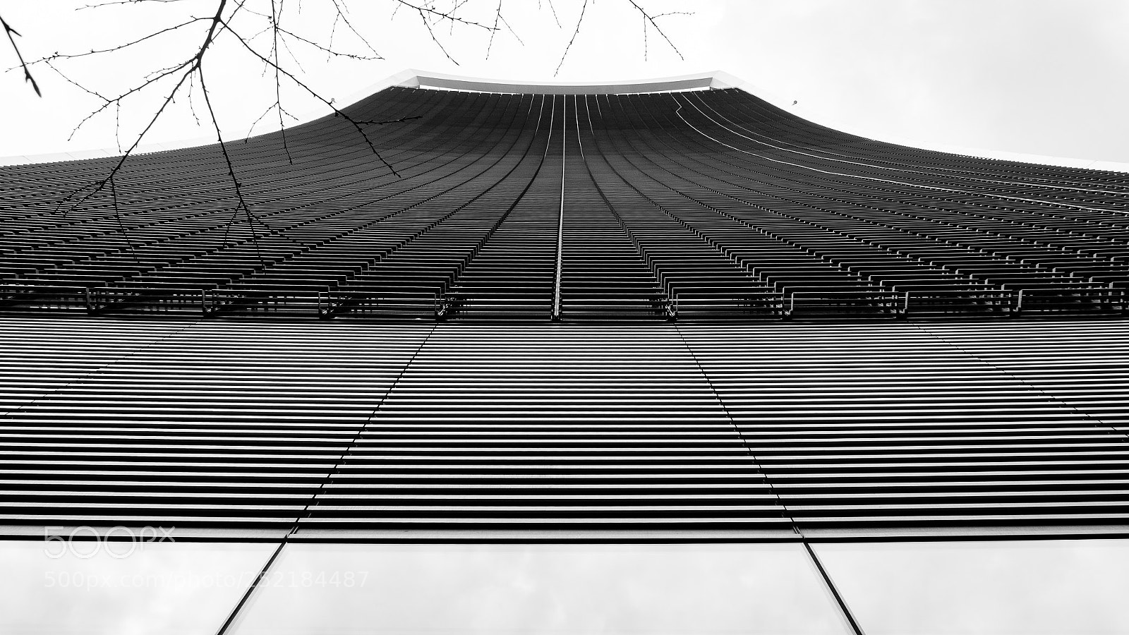 Nikon D5100 sample photo. Sky garden photography