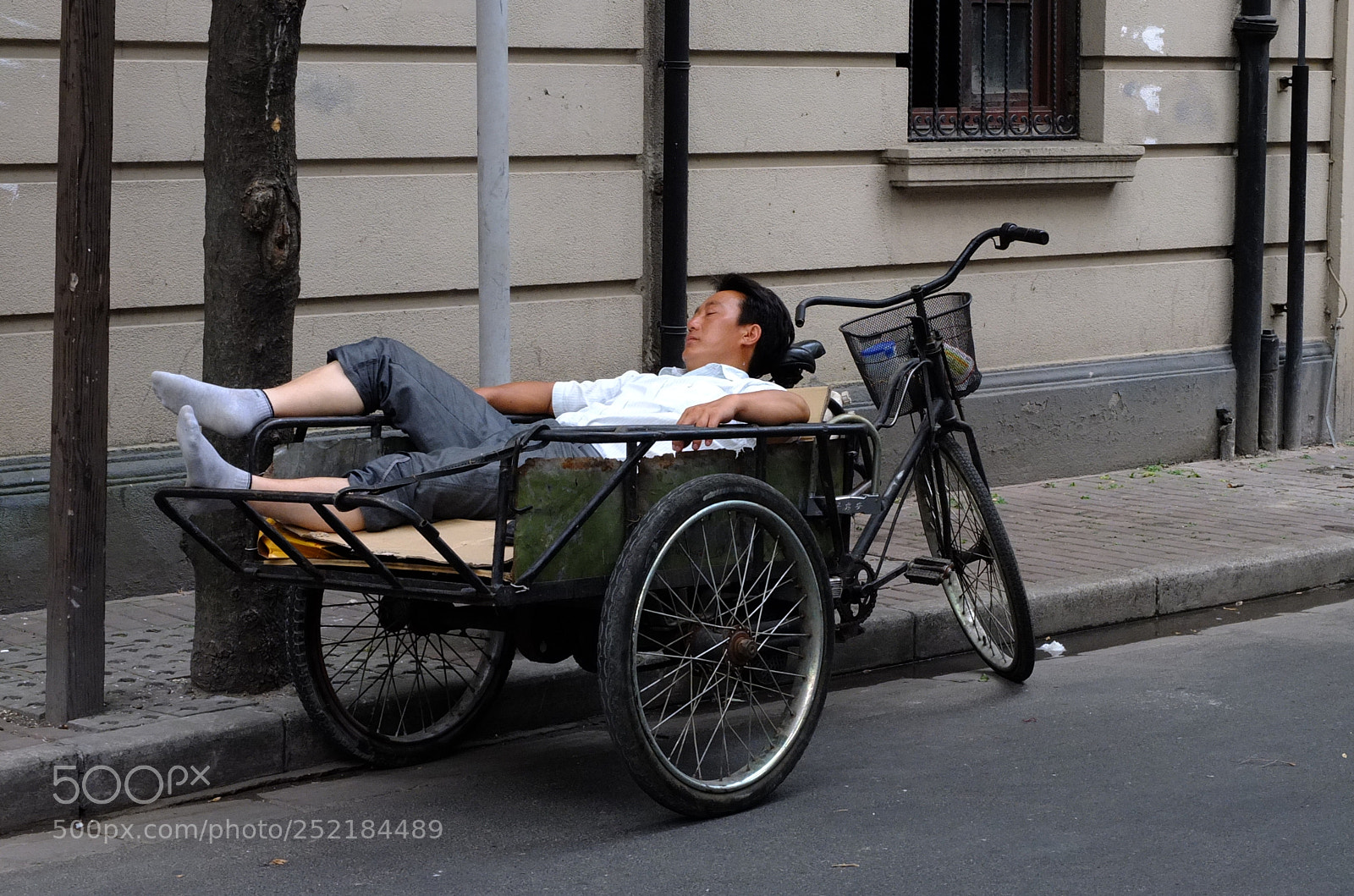 Fujifilm X10 sample photo. Sweet dreams 3 photography