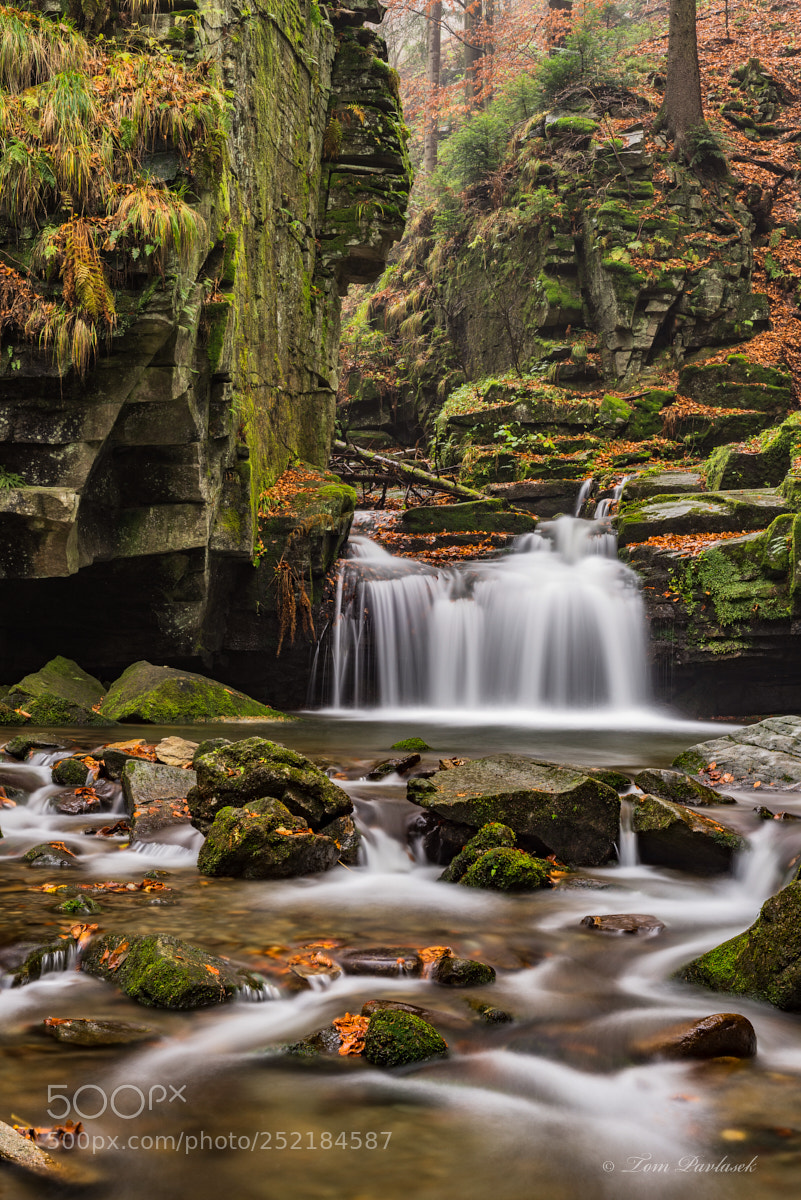 Nikon D600 sample photo. Autumn waterfalls with stones photography