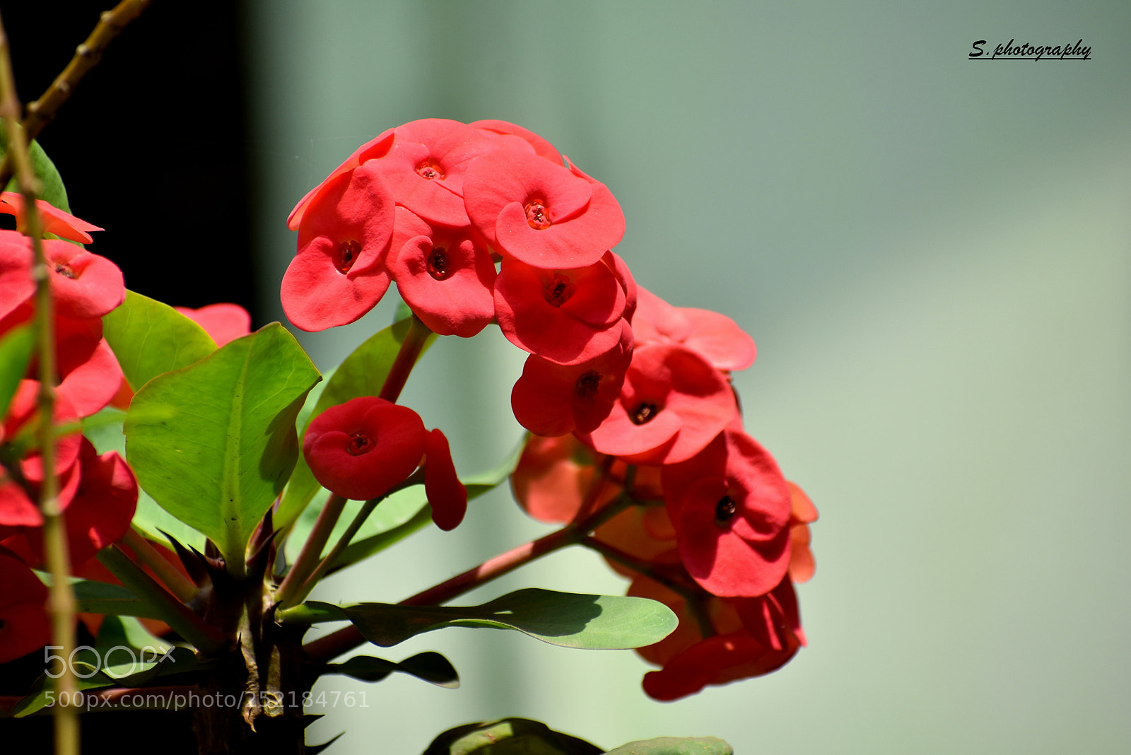 Nikon D3400 sample photo. Untitled photography