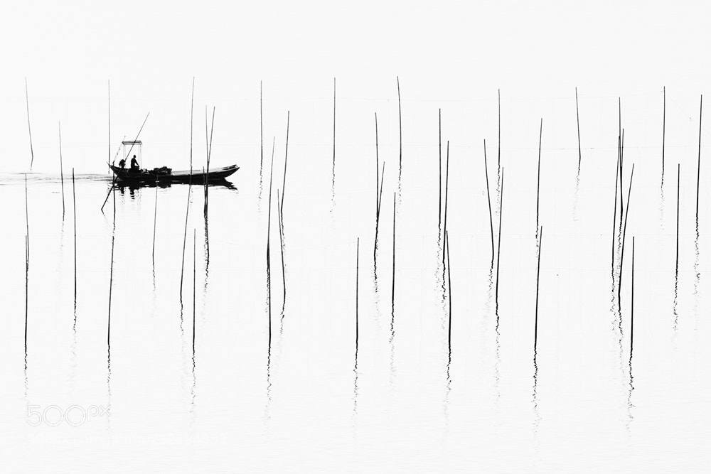Nikon D800 sample photo. Fishing boat photography
