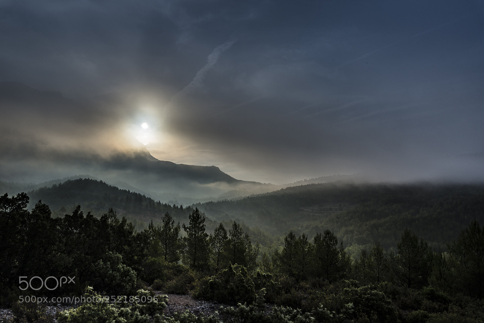 Nikon D610 sample photo. Misty day on montagne photography
