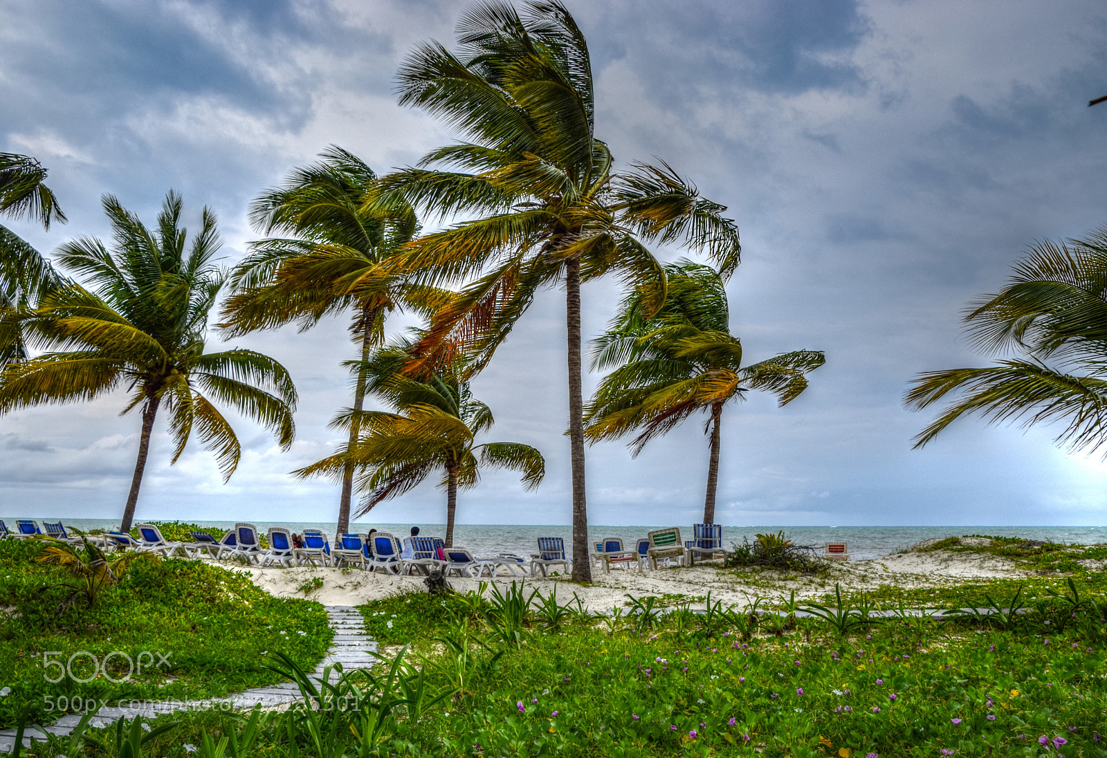 Nikon D5300 sample photo. Windy beach photography