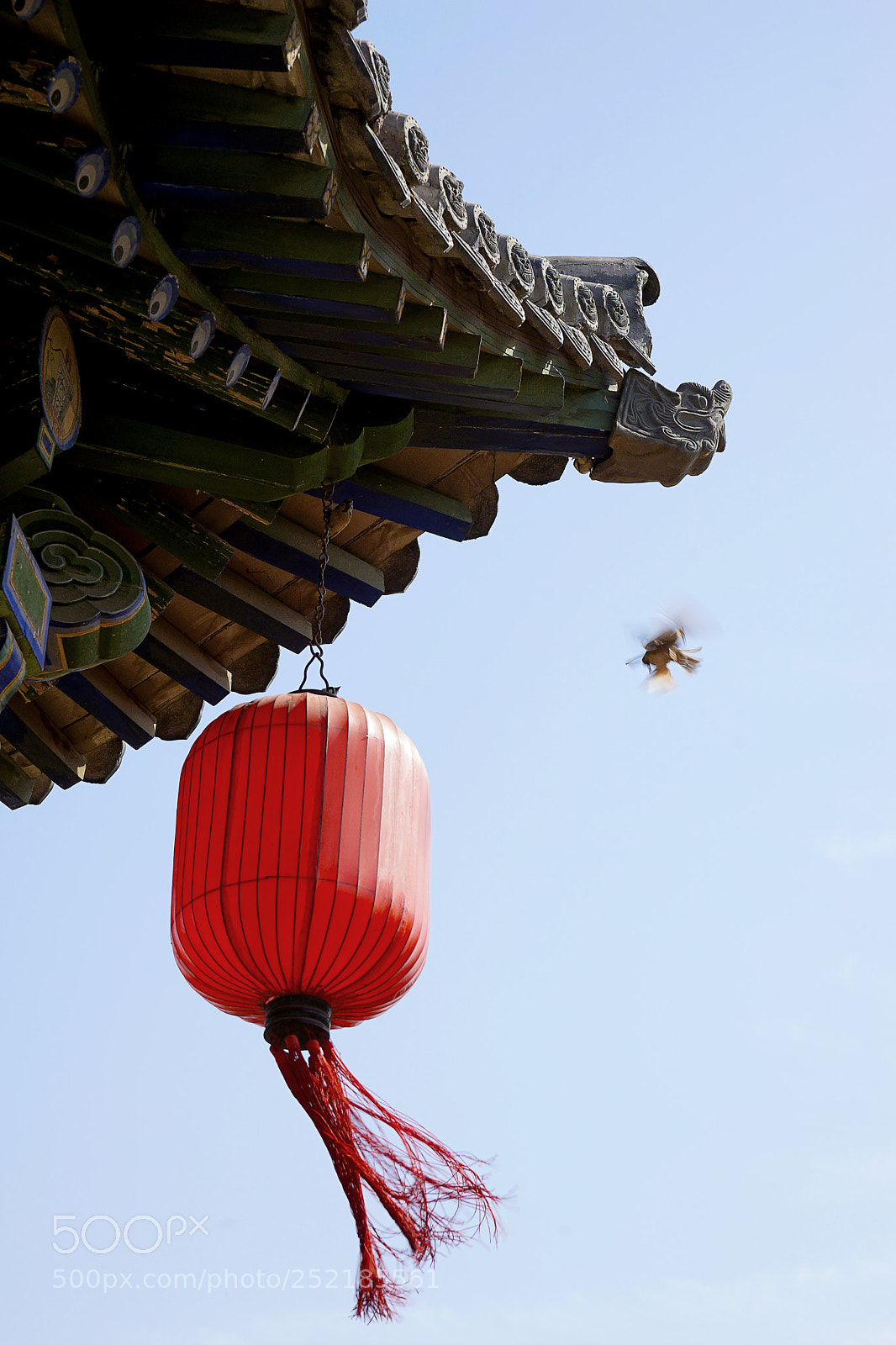 Sony a7 II sample photo. 灯儿闻风舞，雀儿来戏灯（山西乔家大院） photography