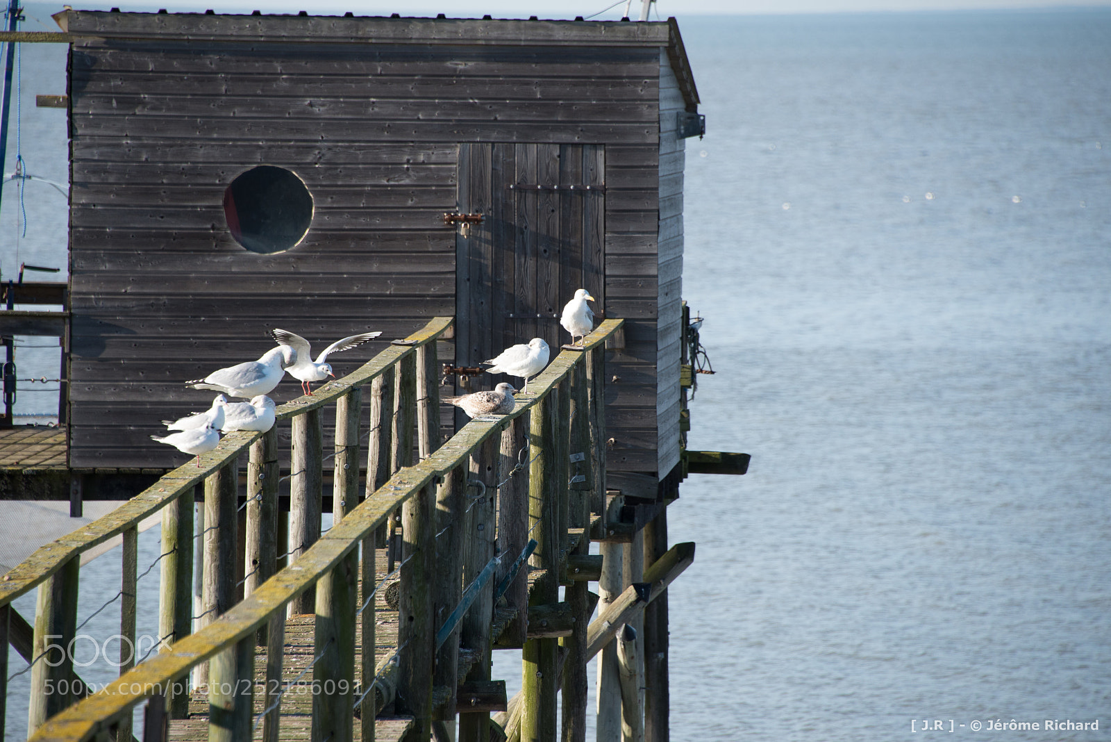 Nikon D610 sample photo. Nieul sur mer photography