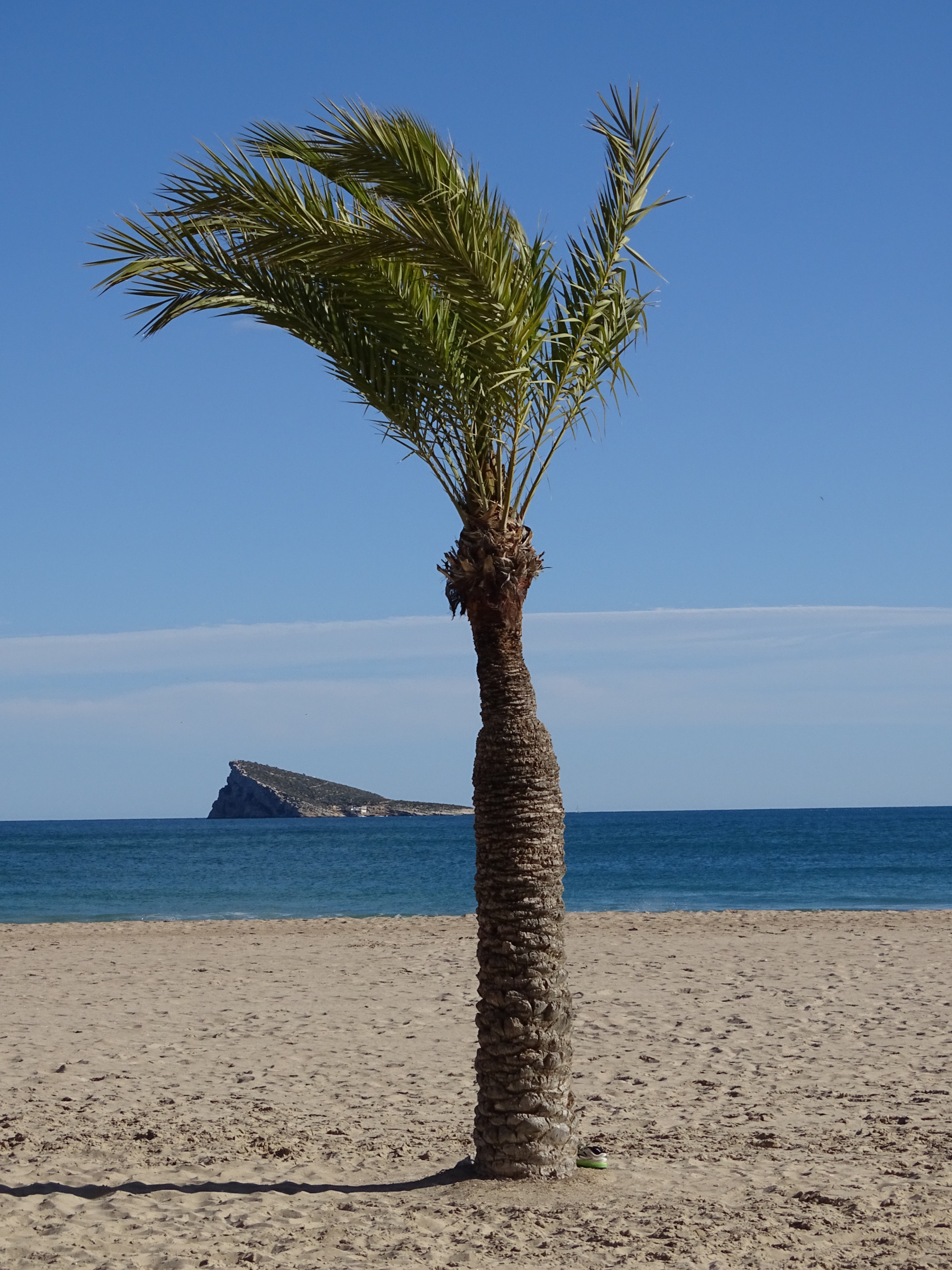 Sony Cyber-shot DSC-HX350 sample photo. Palmera & island photography
