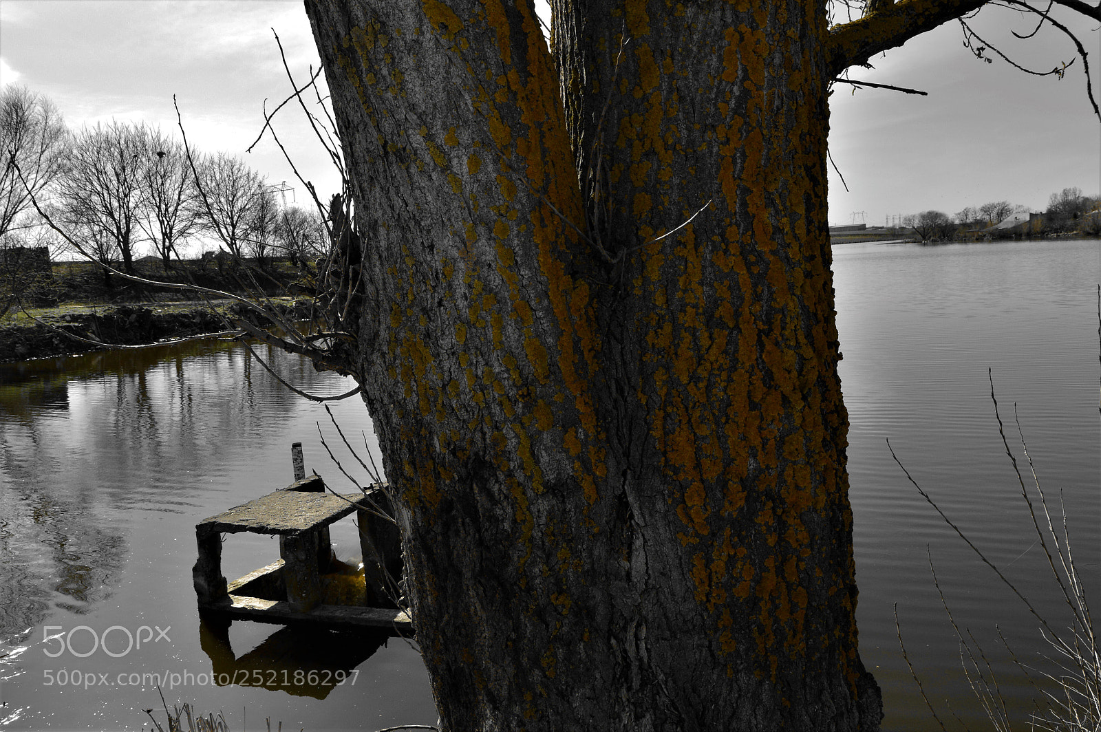 Nikon D3200 sample photo. Back to green photography