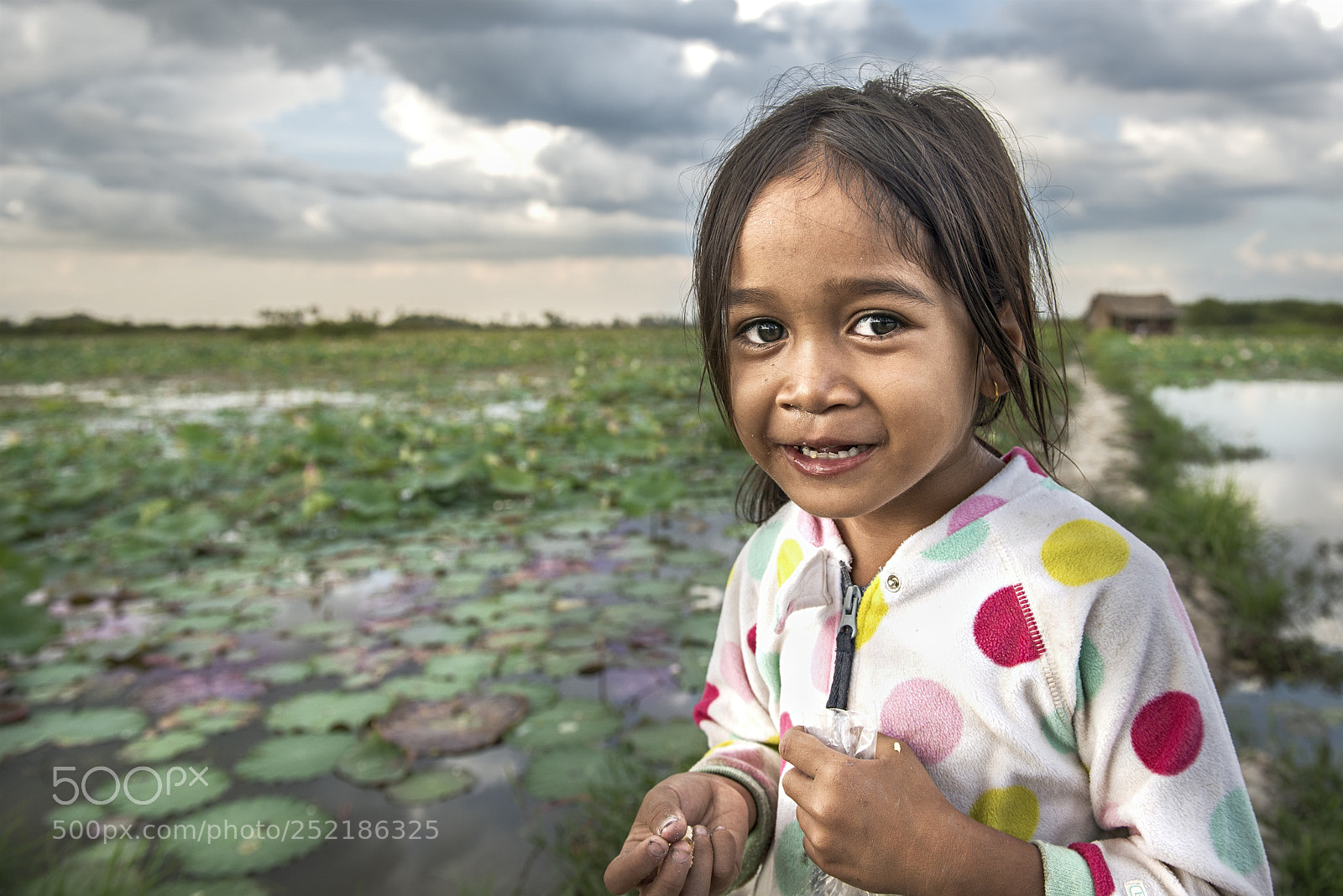 Nikon D800 sample photo. Guardian of the lotus photography