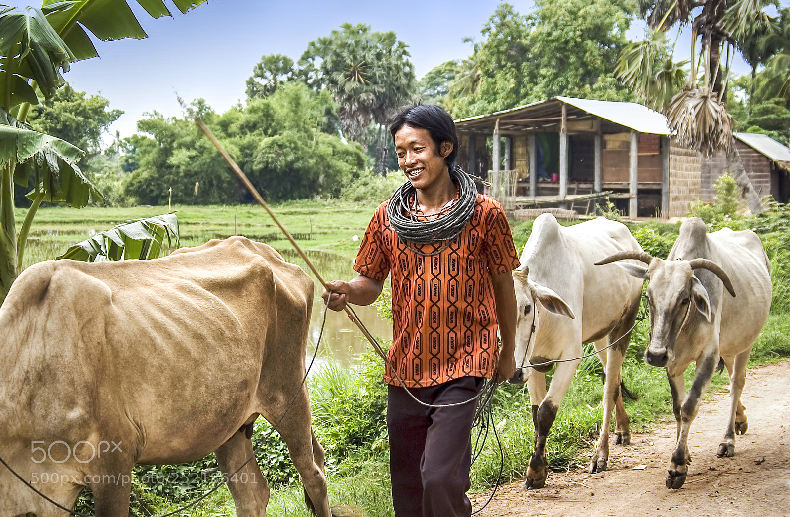 Nikon D70 sample photo. Province life / cambodia photography