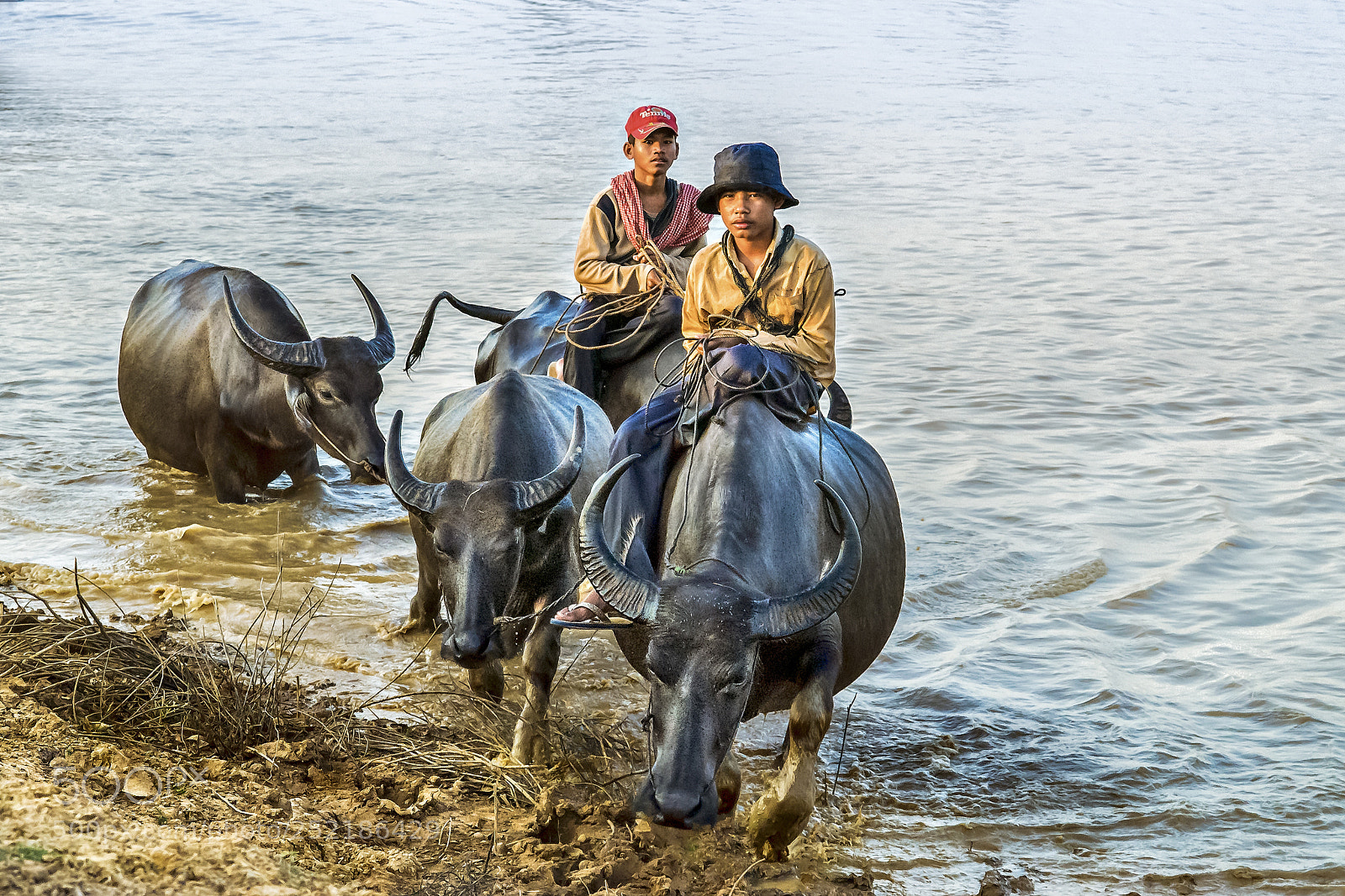 Nikon D200 sample photo. Cambodian cowboys photography