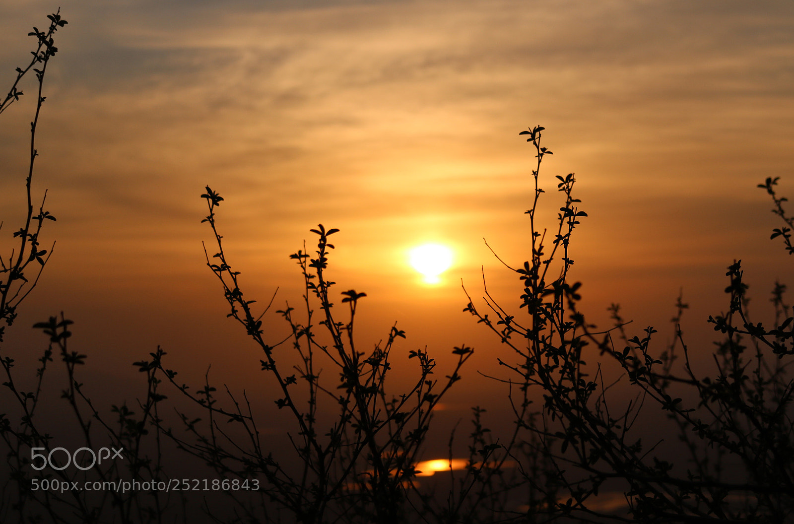 Canon EOS 750D (EOS Rebel T6i / EOS Kiss X8i) sample photo. Img photography